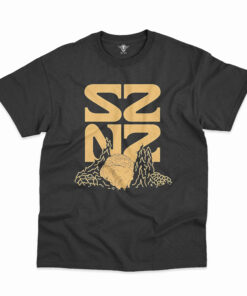 WZ Classic T-shirts DLL WZ2DBDLL280525  (11)