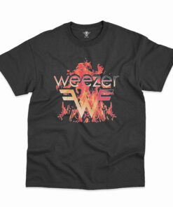 WZ Classic T-shirts DLL WZ2DBDLL280525  (12)