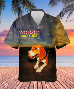WZ Hawaiian Shirt DLL WZHWDLL090625 (41)