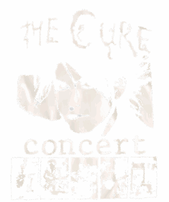 TCR Classic T-Shirt CQ TCR2DBS2607 (24)