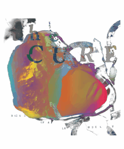 TCR Classic T-Shirt CQ TCR2DBS2607 (25)