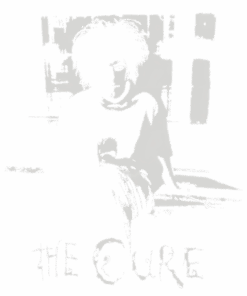 TCR Classic T-Shirt CQ TCR2DBS2607 (3)