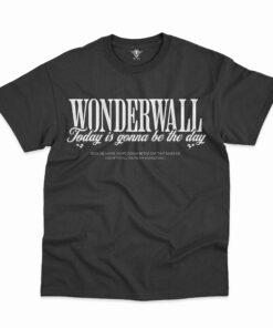 OAS Classic T-Shirt HP OAS2DBHP090125(15