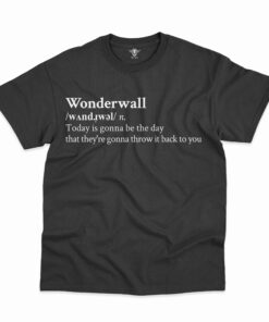 OAS Classic T-Shirt HP OAS2DBHP090125(8